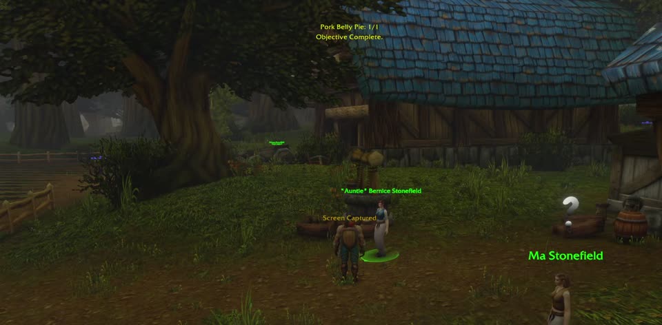 "Auntie" Bernice Stonefield in Elwynn Forest, where you pick up this quest